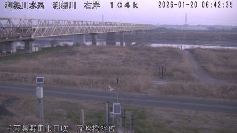 tonme2026012007_image