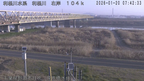 tonme2026012008_image