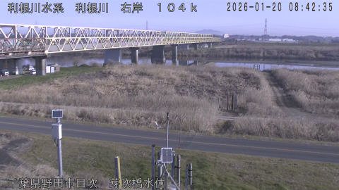 tonme2026012009_image