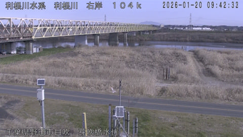 tonme2026012010_image