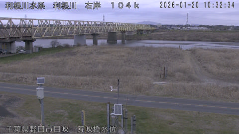 tonme2026012011_image