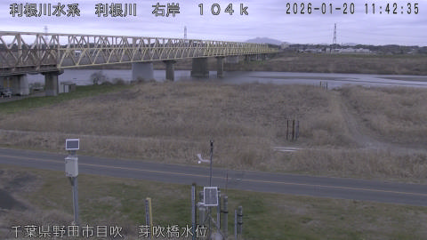 tonme2026012012_image