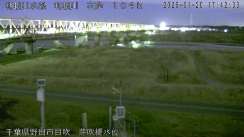 tonme2026012018_image