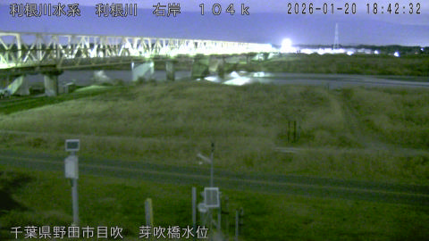 tonme2026012019_image