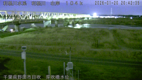 tonme2026012021_image