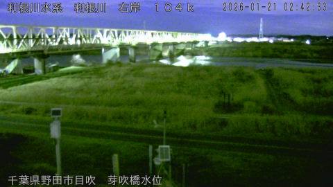 tonme2026012103_image