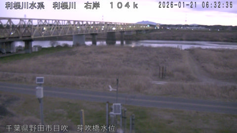 tonme2026012107_image