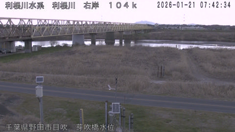 tonme2026012108_image