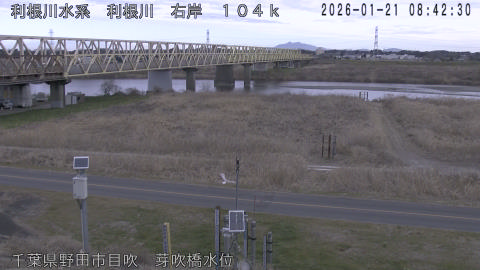 tonme2026012109_image