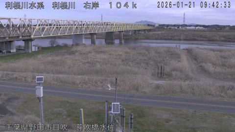 tonme2026012110_image