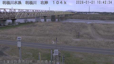 tonme2026012111_image