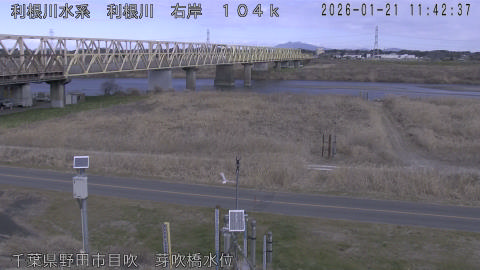 tonme2026012112_image