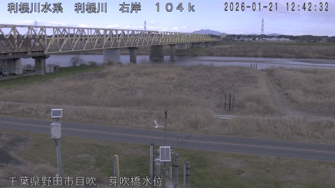 tonme2026012113_image