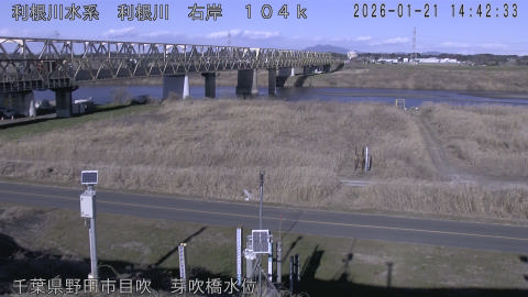 tonme2026012115_image