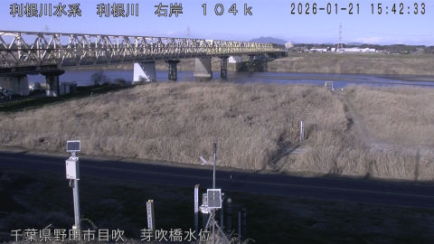 tonme2026012116_image