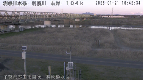 tonme2026012117_image