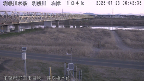 tonme2026012307_image