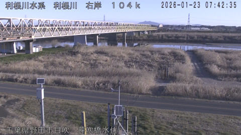 tonme2026012308_image