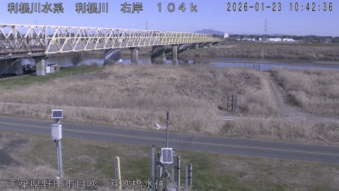 tonme2026012311_image