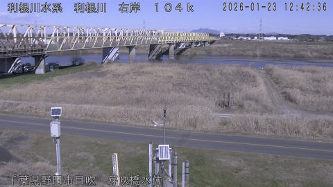 tonme2026012313_image