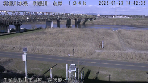 tonme2026012315_image