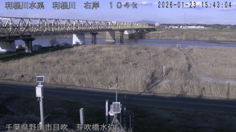 tonme2026012316_image