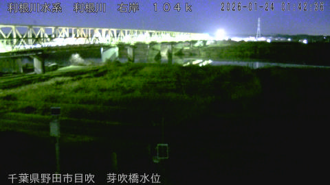 tonme2026012402_image