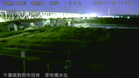 tonme2026012406_image