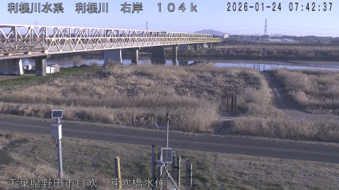 tonme2026012408_image