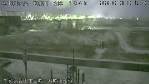 tonme2026020803_image