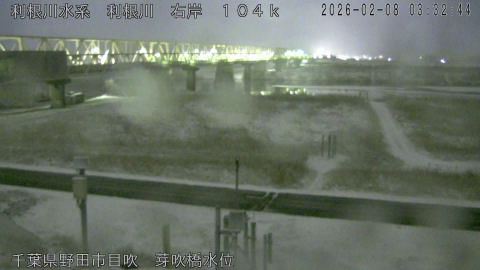 tonme2026020804_image