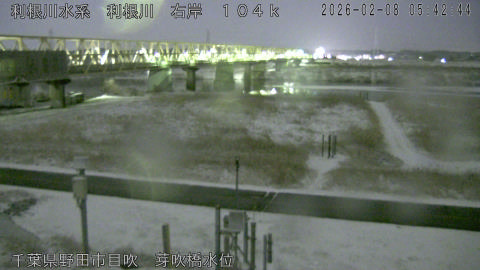 tonme2026020806_image