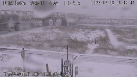 tonme2026020809_image