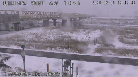 tonme2026020813_image