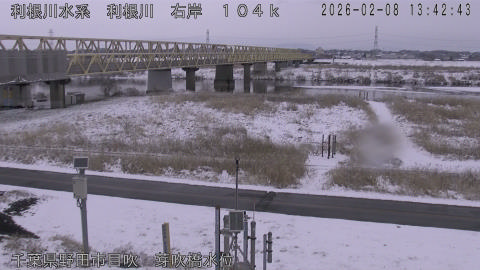 tonme2026020814_image