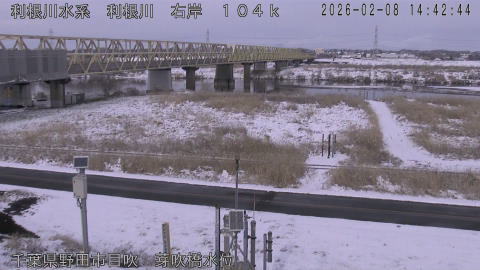 tonme2026020815_image