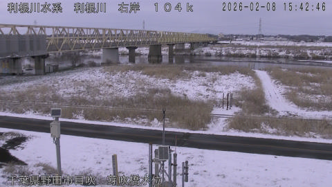 tonme2026020816_image