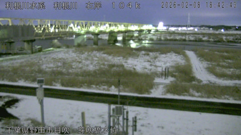 tonme2026020819_image