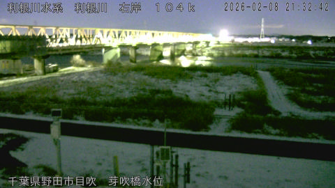 tonme2026020822_image