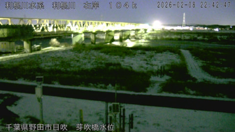 tonme2026020823_image