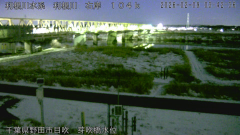 tonme2026020904_image