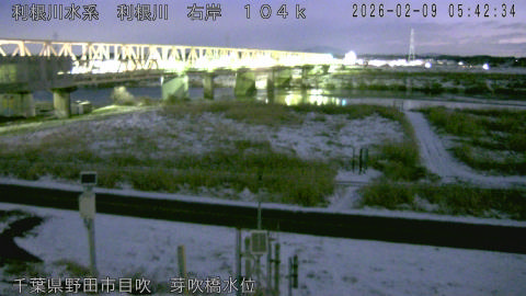 tonme2026020906_image