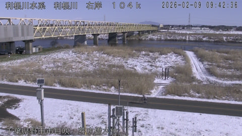 tonme2026020910_image