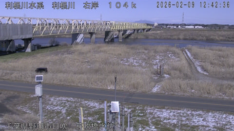 tonme2026020913_image