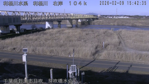 tonme2026020916_image