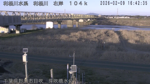 tonme2026020917_image