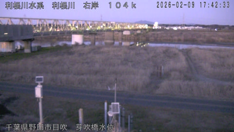 tonme2026020918_image