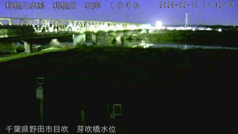 tonme2026021002_image