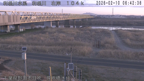 tonme2026021007_image