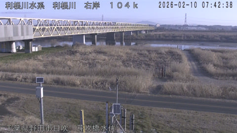 tonme2026021008_image